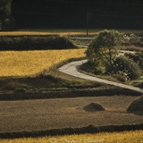 dailyPhoto13